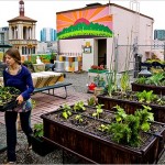 roof top garden from NYTimes